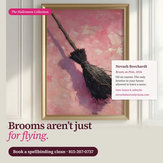 Painting of a broom on a pink background in a gold frame with the words brooms are not just for flying