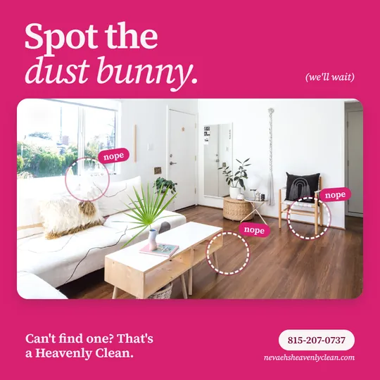 Graphic of a spotless living room with circles labeled nope, captioned spot the dust bunny